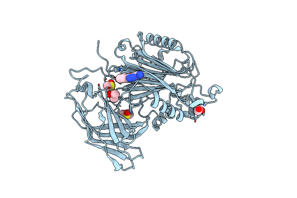 8PDH image
