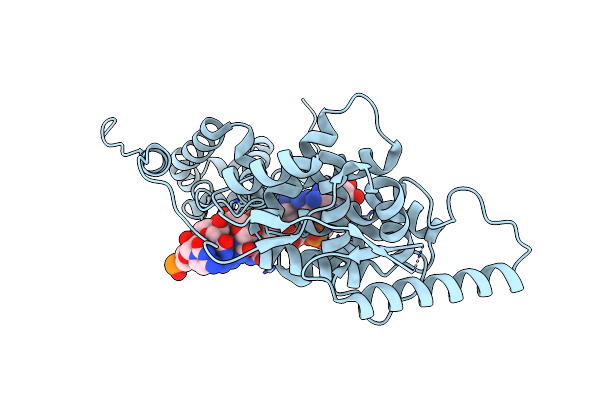 8PDM image
