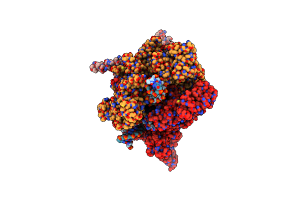 8PDY image