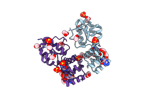 8PE0 image