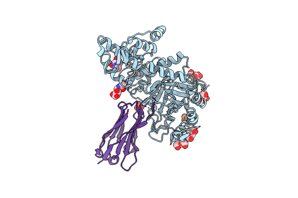 8PE2 image