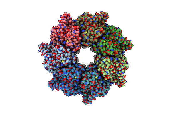 8PE8 image