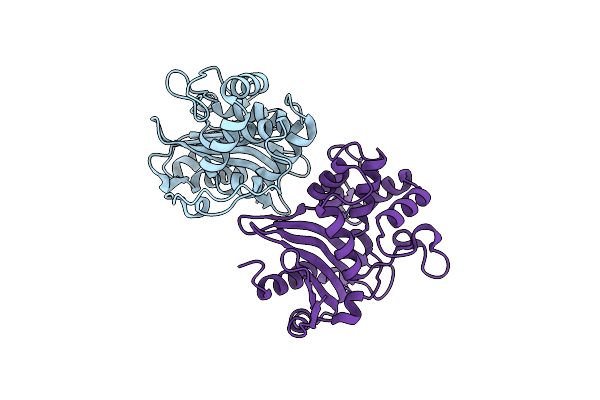 8PEA image