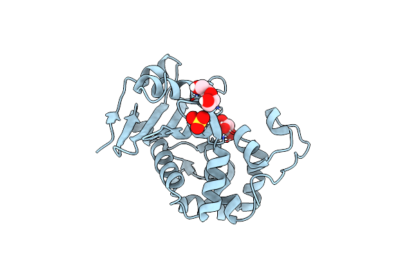 8PEB image