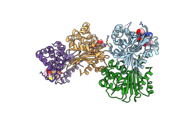 8PEC image