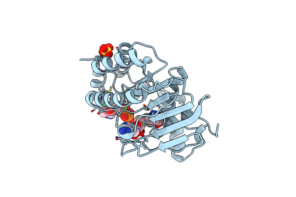 8PEM image
