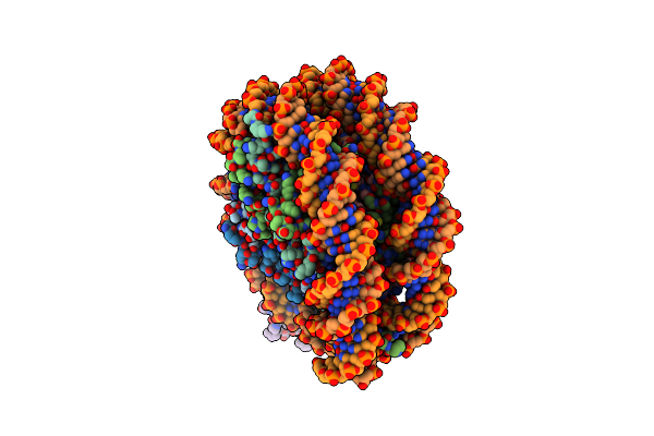 8PEP image