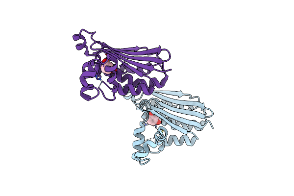 8PF2 image