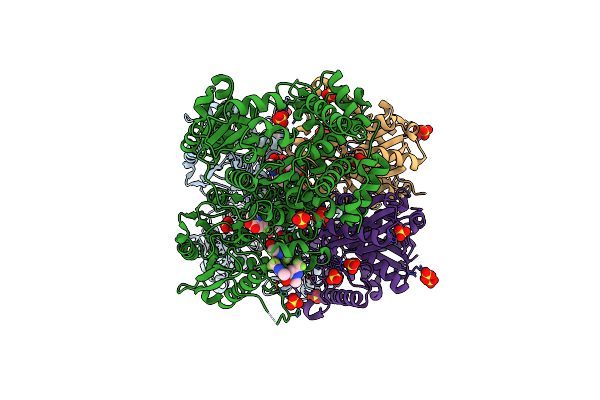 8PF8 image