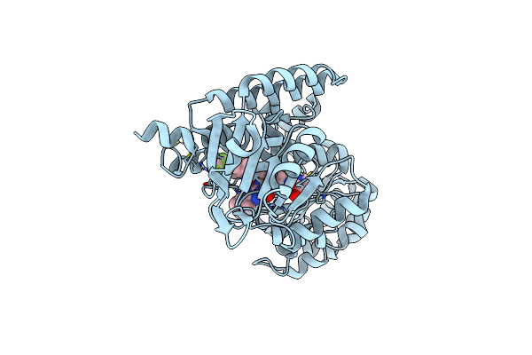 8PFL image