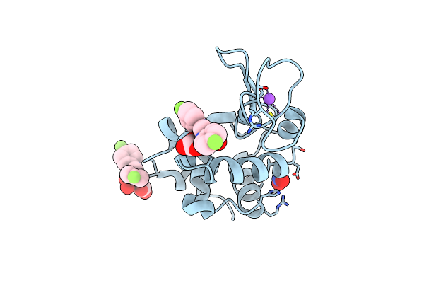 8PFT image
