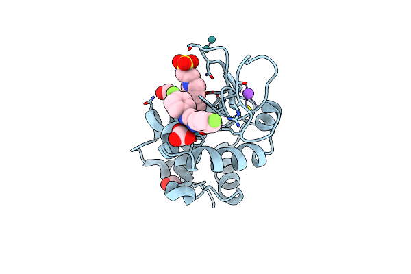 8PFX image
