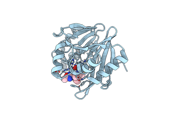 8PGB image