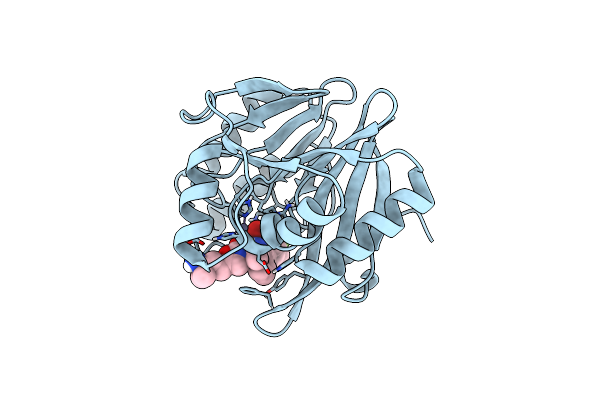 8PGC image