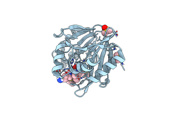 8PGE image