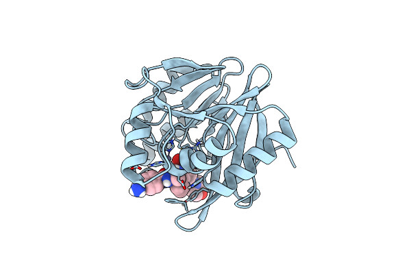 8PGF image