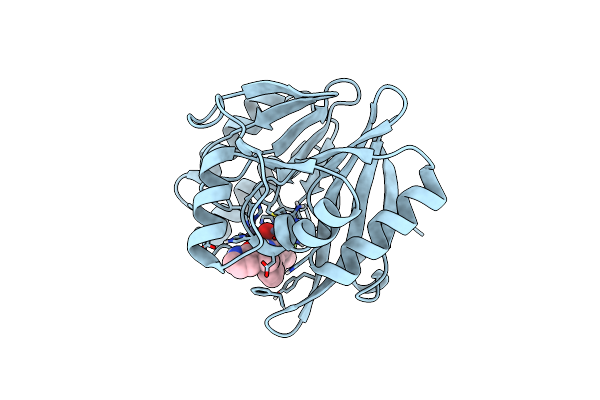 8PGG image