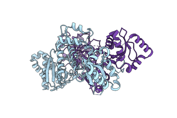 8PHB image