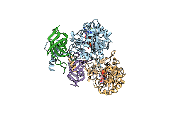 8PHD image