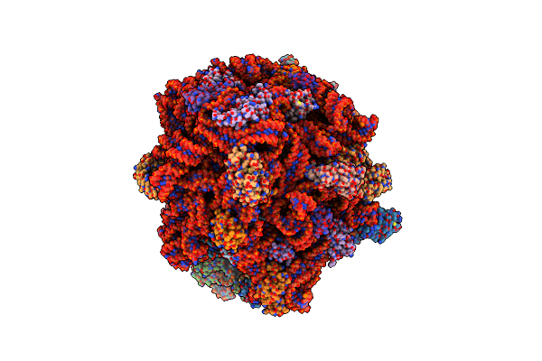 8PHJ image