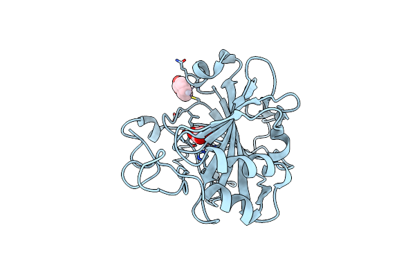 8PHM image