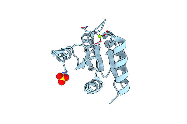8PHN image