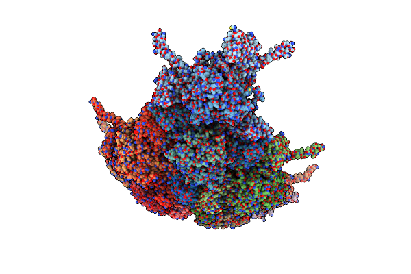 8PHQ image