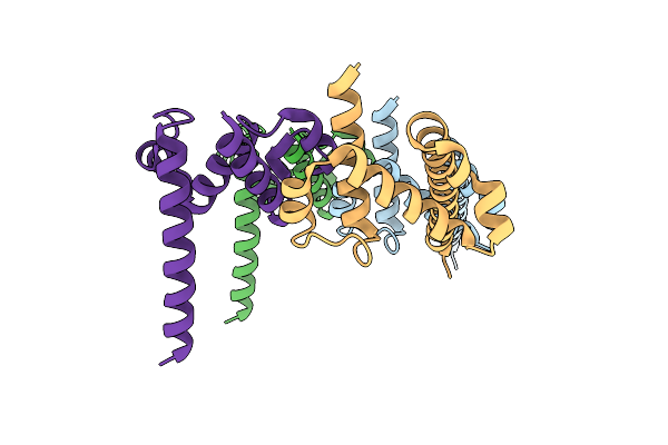 8PHT image