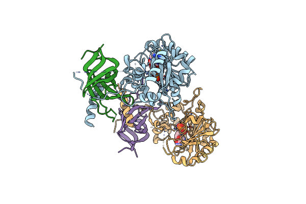 8PHV image