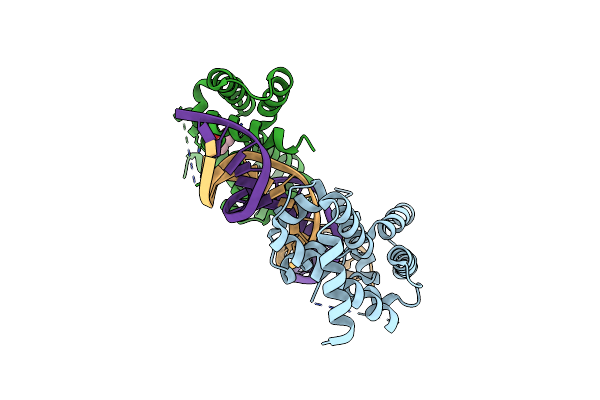 8PIA image