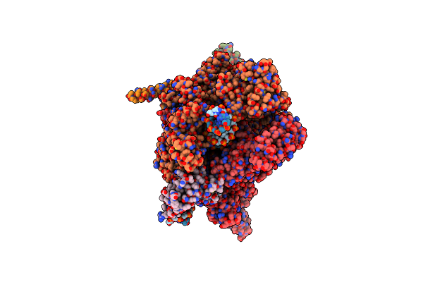 8PIB image