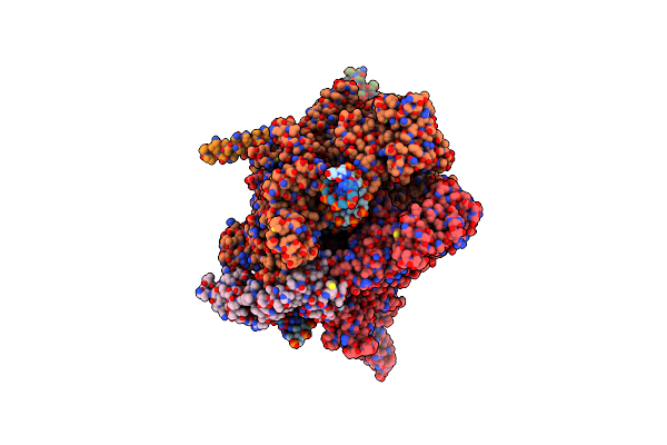 8PID image