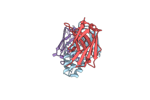8PIH image