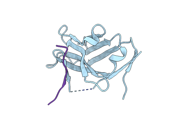8PII image