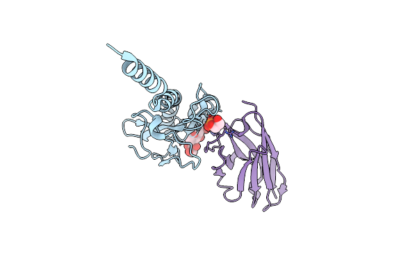 8PIJ image