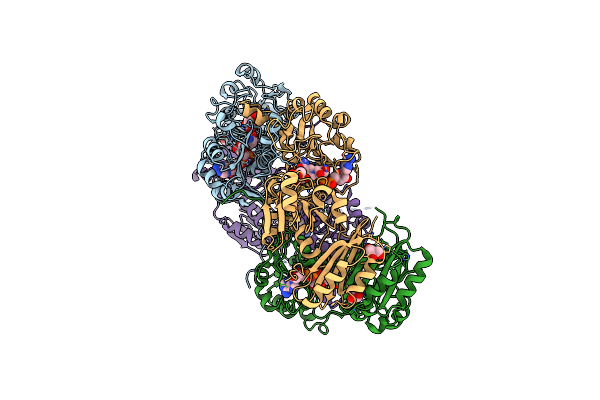8PIO image