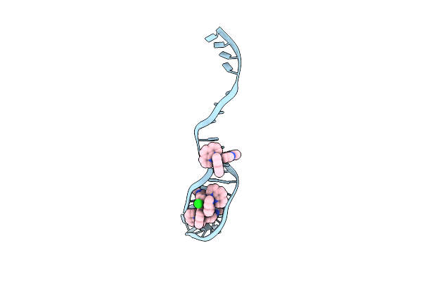 8PIP image