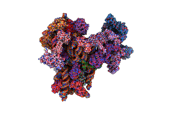 8PJ2 image