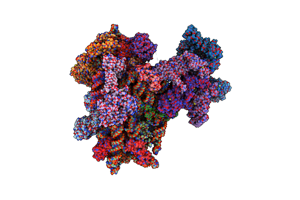8PJ4 image