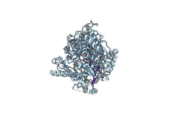 8PJB image