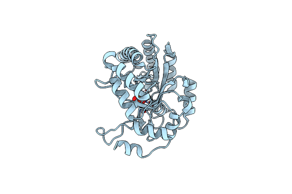 8PKB image