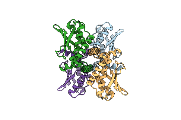 8PKD image