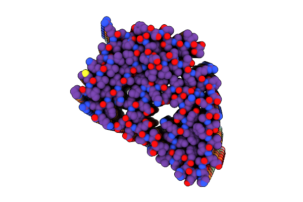 8PKG image