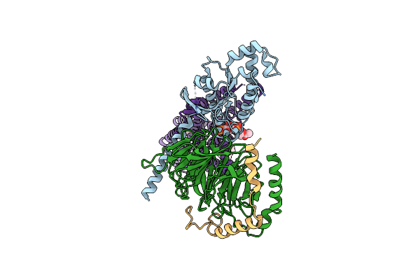 8PKM image