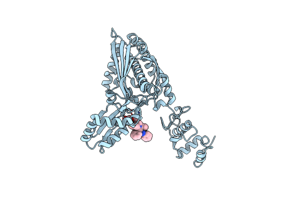 8PKN image