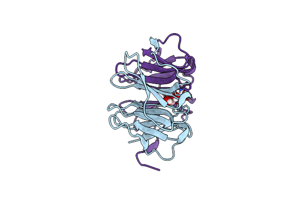 8PKR image