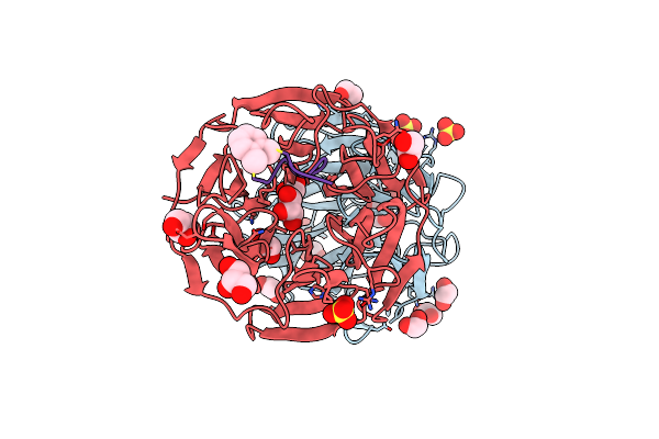 8PKU image