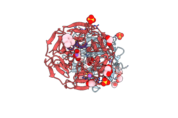 8PKV image