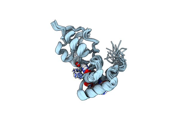 8PKZ image