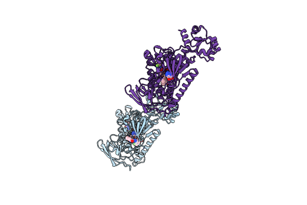 8PL3 image